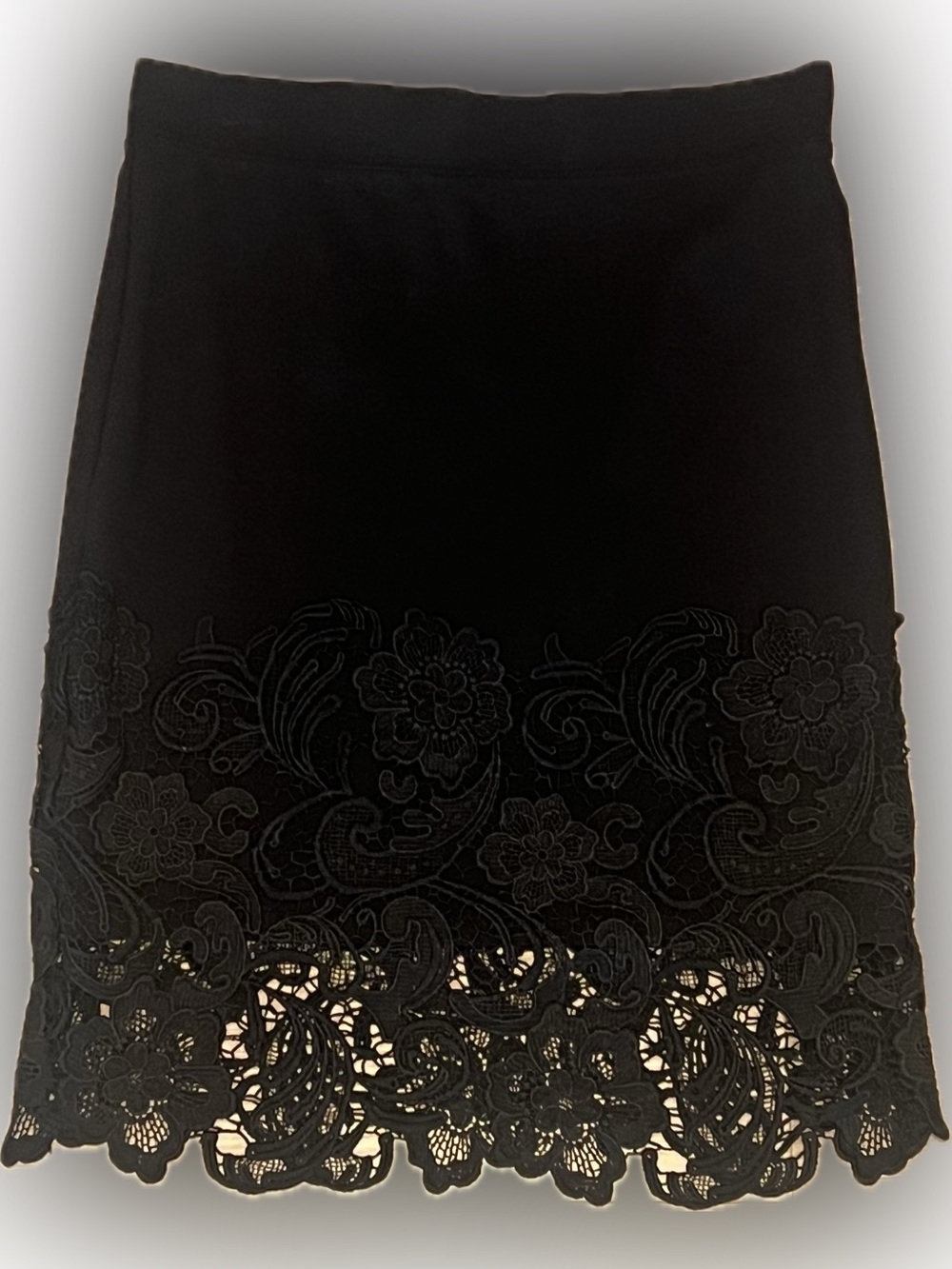 Haute Monde Black A-Line Skirt with Lace Hem